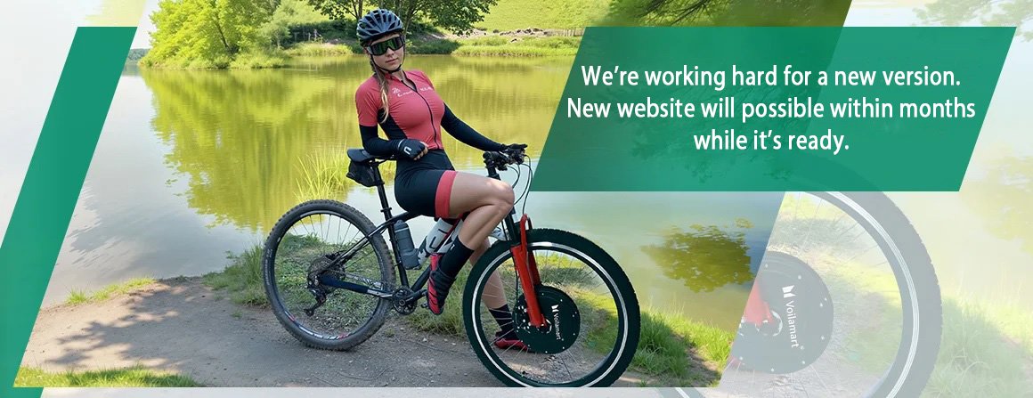 Ebike Cross Country